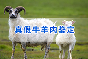 新疆维吾尔自治区羊类动物鉴定